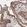 Anti-ITGB5 Antibody