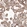 Anti-TAGLN2 Antibody