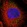 Anti-EIF4ENIF1 Antibody