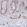 Anti-PODXL Antibody