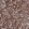 Anti-ALDH1A1 Antibody