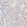 Anti-ABCB1 Antibody