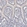 Anti-ABCB1 Antibody