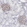 Anti-ABCC1 Antibody