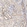 Anti-FMNL3 Antibody