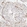Anti-CDK6 Antibody