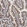 Anti-CASP3 Antibody
