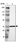 Anti-HCCS Antibody