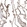 Anti-THBD Antibody