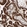 Anti-ELP2 Antibody