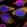 Anti-ELP2 Antibody