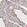 Anti-NF2 Antibody