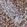 Anti-ZAP70 Antibody