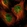 Anti-ZNF44 Antibody