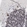 Anti-OGFOD1 Antibody