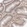 Anti-PCMT1 Antibody