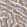 Anti-CD2AP Antibody
