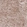 Anti-SLC16A2 Antibody
