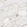 Anti-SPTB Antibody