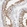 Anti-IFT43 Antibody