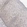 Anti-NOL12 Antibody