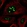Anti-NOL12 Antibody