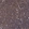 Anti-MAPRE1 Antibody