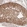 Anti-MAPRE1 Antibody