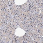 Immunohistochemical staining of human pancreas shows low expression as expected.