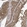 Anti-PAXBP1 Antibody