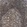 Anti-SMARCE1 Antibody