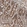 Anti-CDC37 Antibody