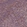 Anti-G3BP1 Antibody