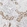 Anti-MUC1 Antibody