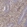 Anti-ZYX Antibody