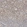 Anti-ZMAT5 Antibody