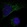 Anti-MMP1 Antibody