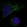 Anti-MMP1 Antibody
