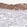 Anti-ANXA10 Antibody