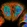 Anti-BLM Antibody