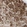 Anti-LDOC1L Antibody