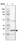 Anti-LDOC1L Antibody