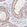 Anti-NIN Antibody