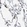 Anti-NCF2 Antibody