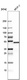 Anti-PSMC3 Antibody