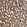 Anti-PDIA4 Antibody