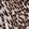 Anti-PDZK1 Antibody