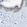 Anti-SDC1 Antibody