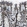 Anti-SDC1 Antibody