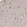 Anti-CELF3 Antibody